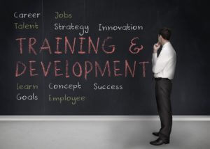 TRAINING AND DEVELOPMENT