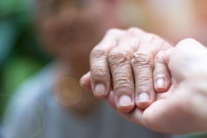 senior home care franchise